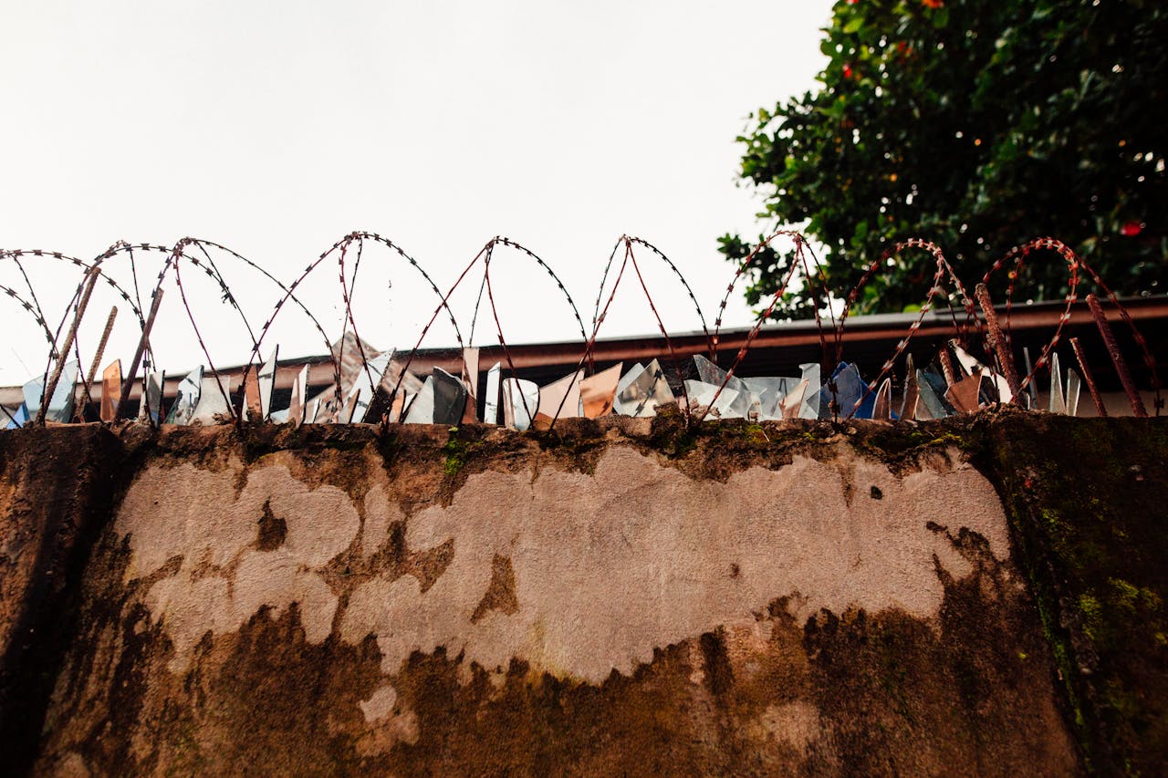 About Low angle shot of a rusted barbed wire fence atop a moss-covered concrete wall with trees in the background.